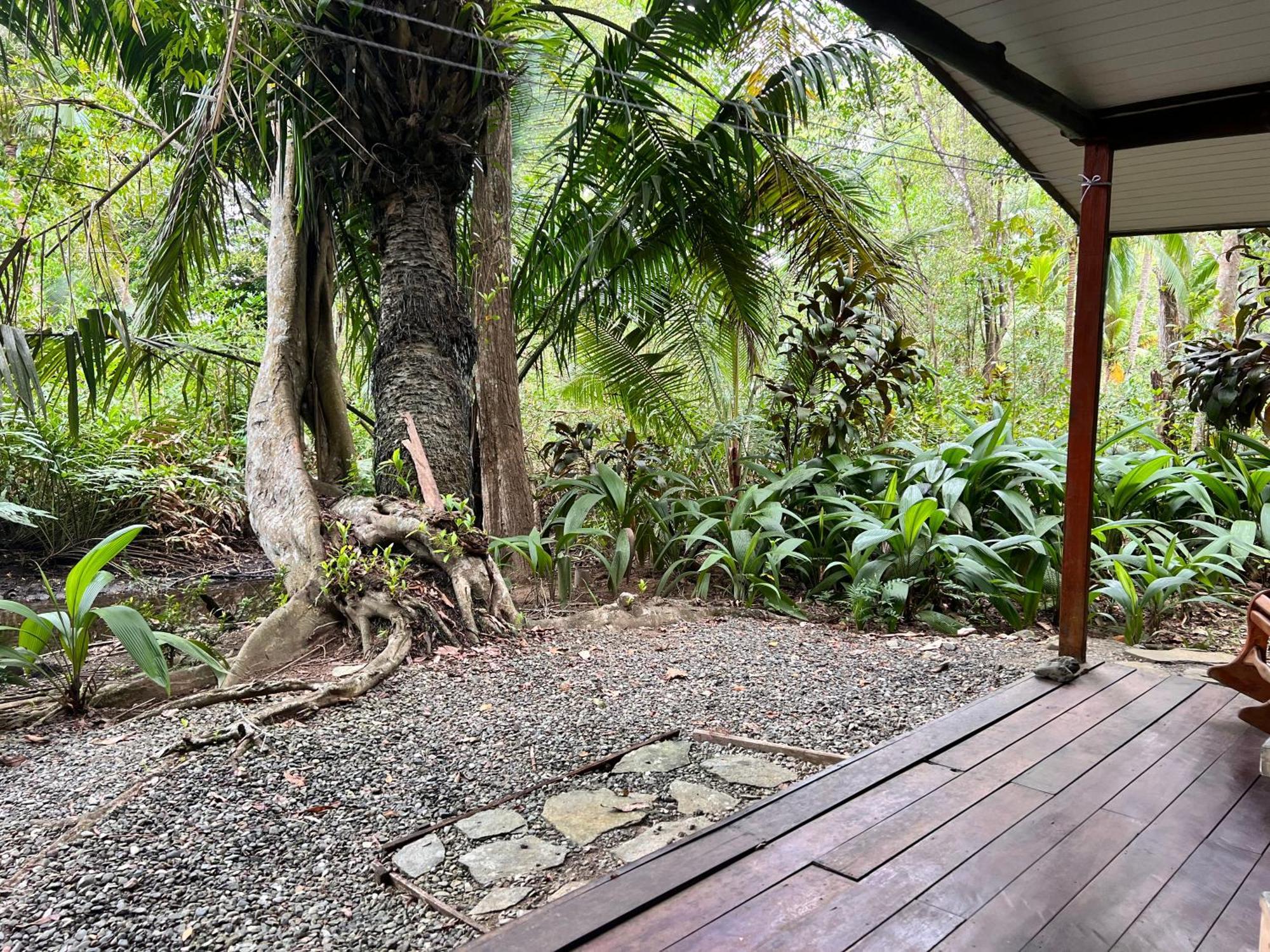 Chosa Manglar Suites & Cabins Puerto Jiménez Exterior foto